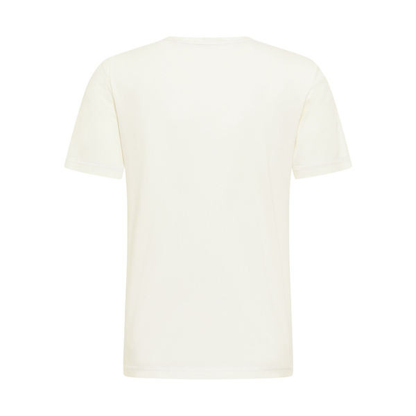 Mustang men's Alex C Print t-shirt 1012122 2020