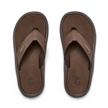 Gumbies flip flops NOOSA FLIP-FLOPS BROWN