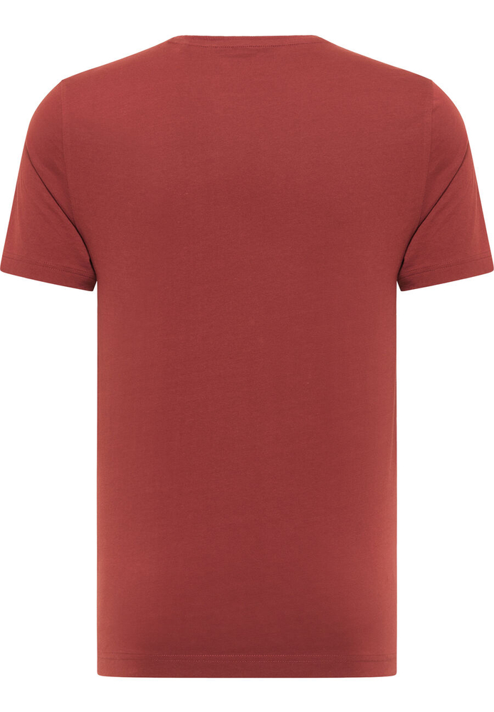 Mustang men's t-shirt ALEX C PRINT 1012514 7256