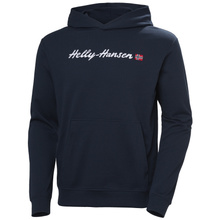 Helly Hansen Herren Sweatshirt CORE GRAPHIC SWEAT HOODIE 53924 596