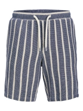Jack&Jones short joggers JPSTJAIDEN COBA STRIPE JOG SHORTS REG SN 12274413 OCEAN CAVERN
