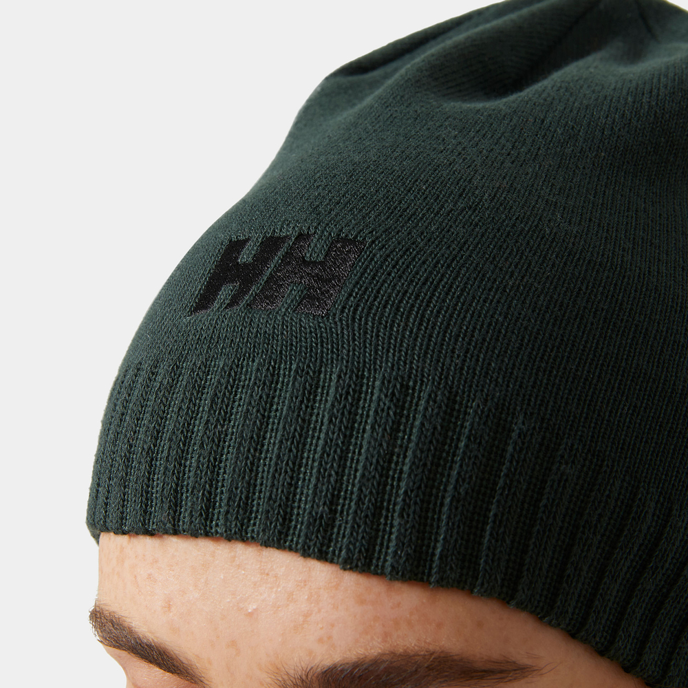 Helly Hansen beanie BRAND BEANIE 57502 418