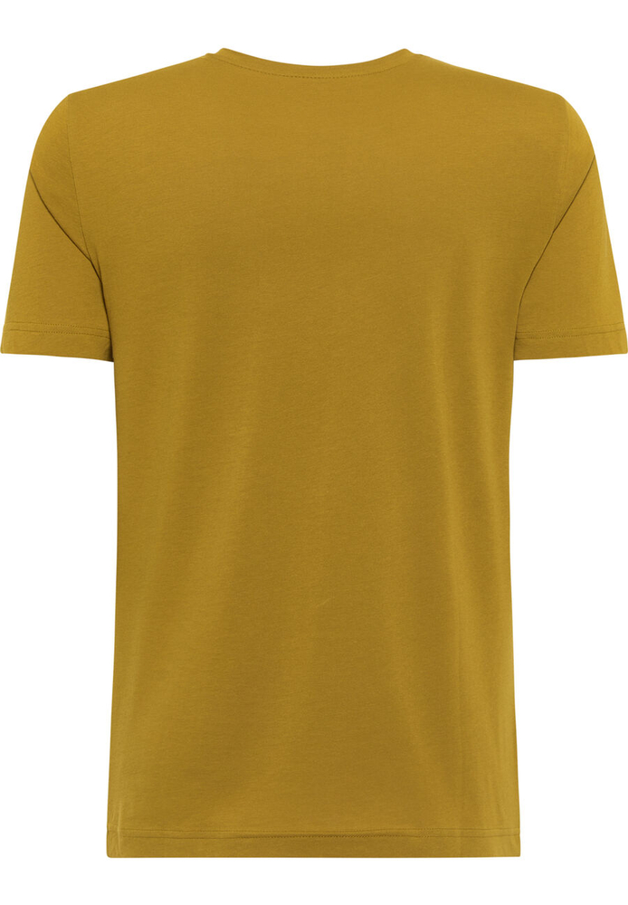 Mustang Herren-T-Shirt ALEX C PRINT 1012515 6370