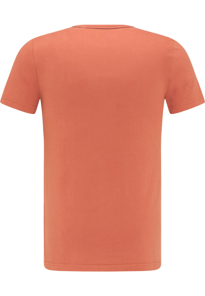 Mustang Herren Aaron C Print t-shirt 1009522 7103