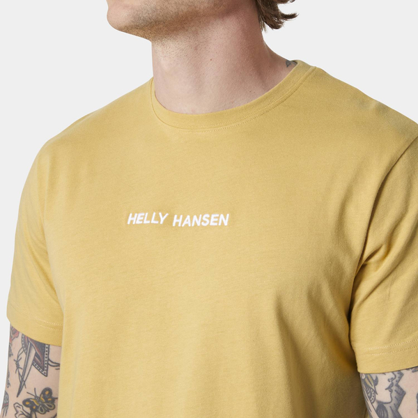Helly Hansen men's HH CORE T-Shirt 2.0 54598 389