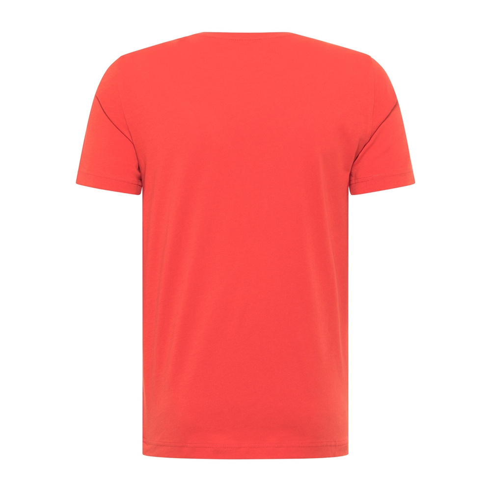 Mustang męska koszulka t-shirt Aron C Print 1012119 7121