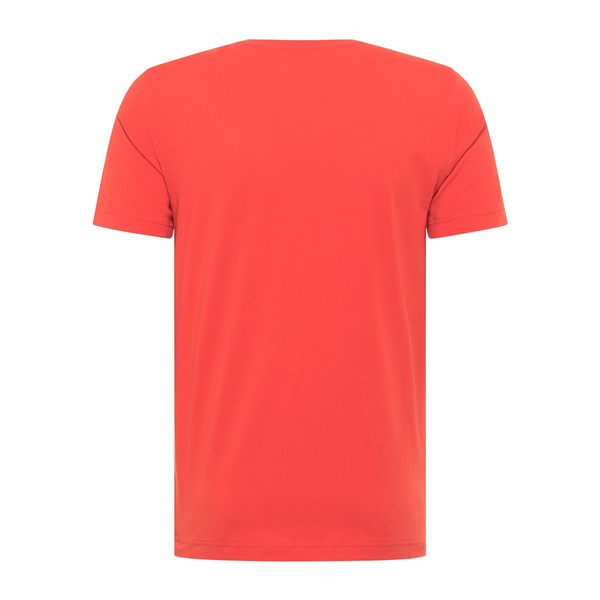 Mustang męska koszulka t-shirt Aron C Print 1012119 7121