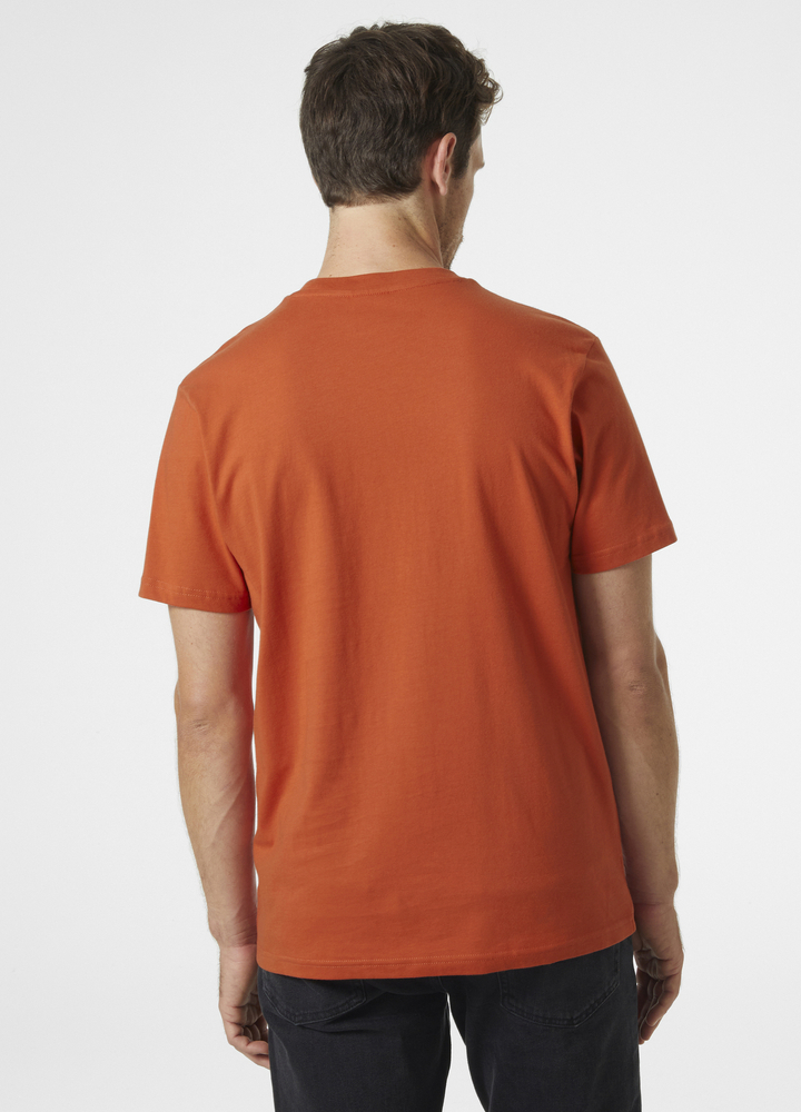 Helly Hansen Herren T-Shirt BOX T 53285 179