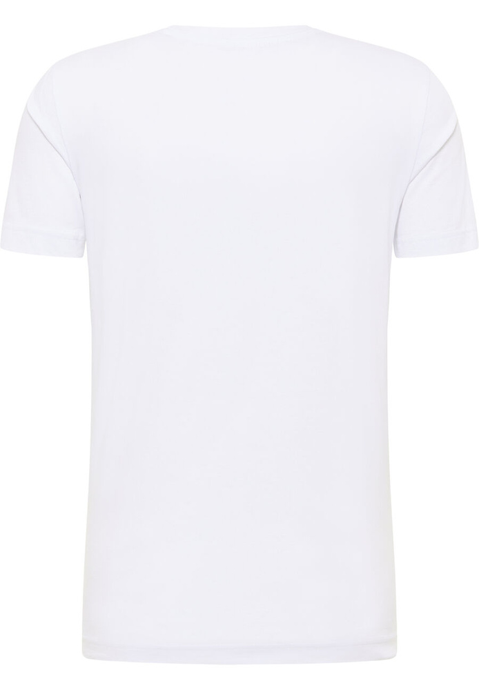 Mustang men's t-shirt ALEX C PRINT 1012517 2045