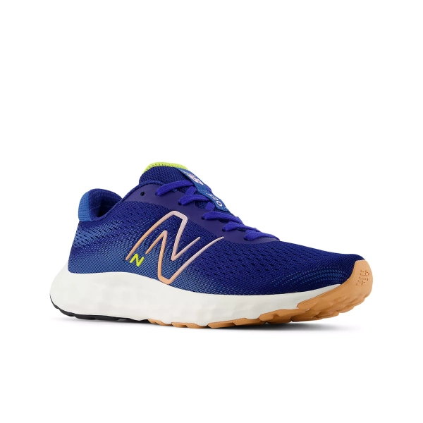 New Balance damskie buty biegowe W520RN8