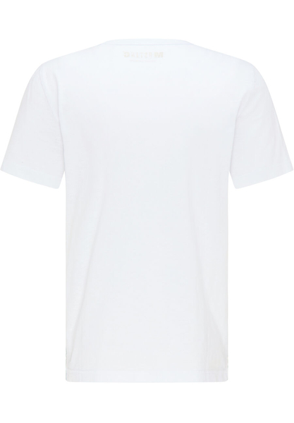 Mustang Logo Alex 1009534 2045