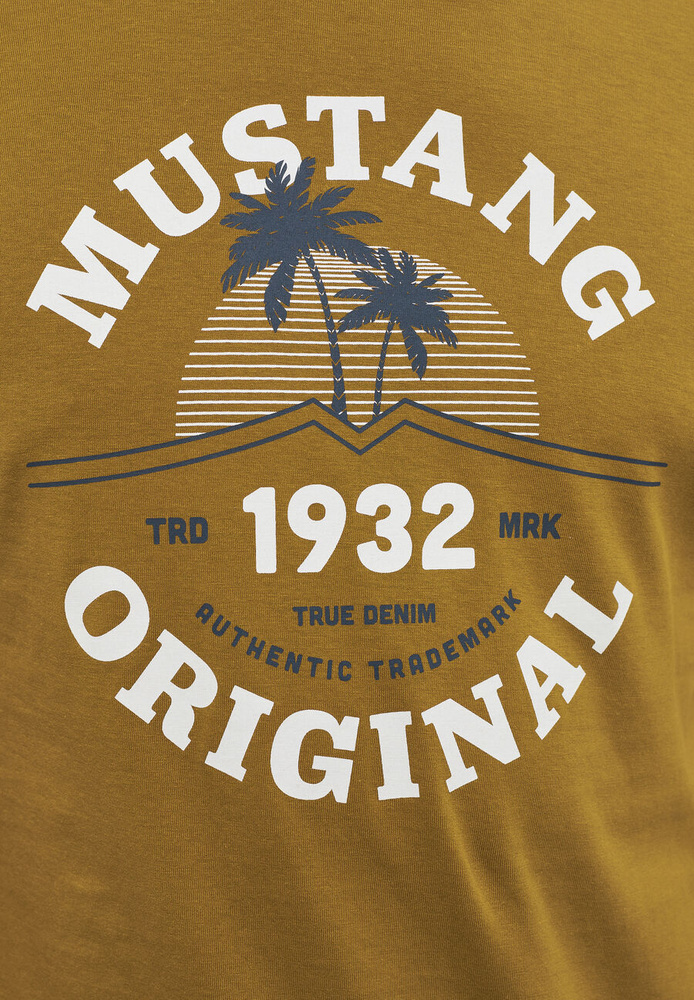 Mustang męska koszulka t-shirt ALEX C PRINT 1012520 6370