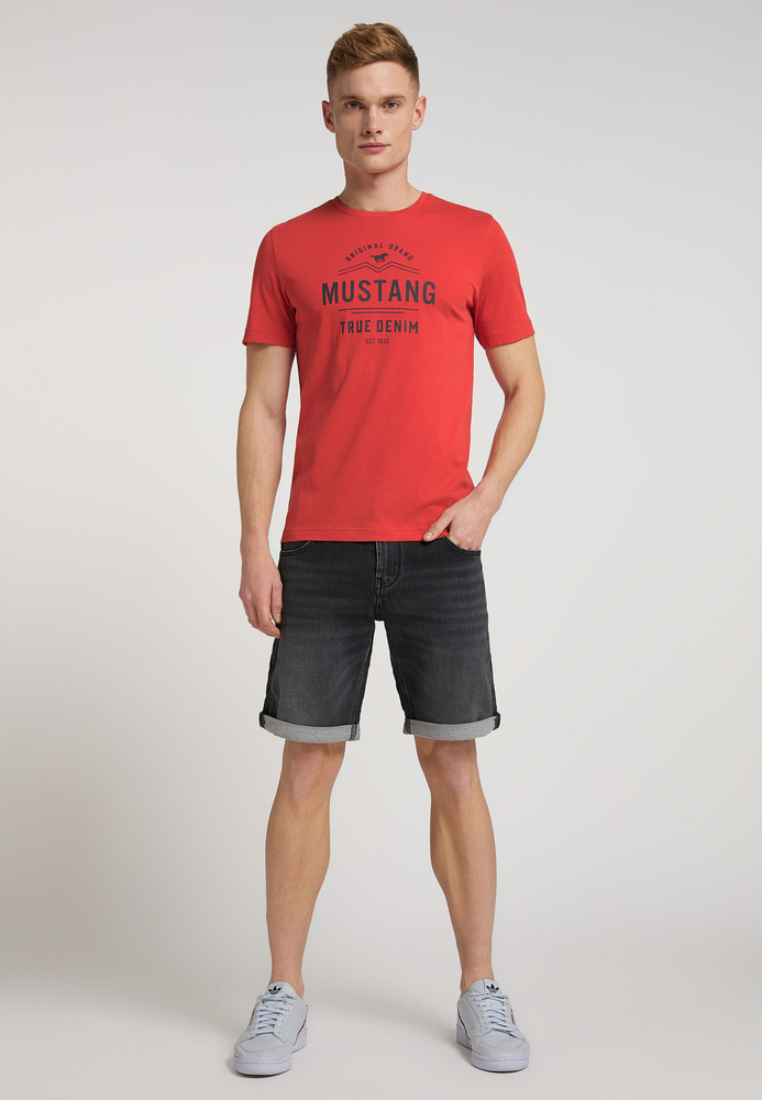 Mustang męska koszulka t-shirt Aron C Print 1012119 7121